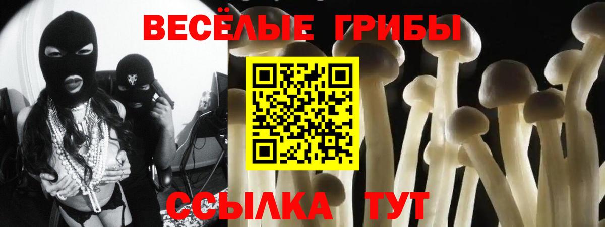 наркота  Вход с VPN  Чехов  Псилоцибиновые грибы MAGIC MUSHROOMS 